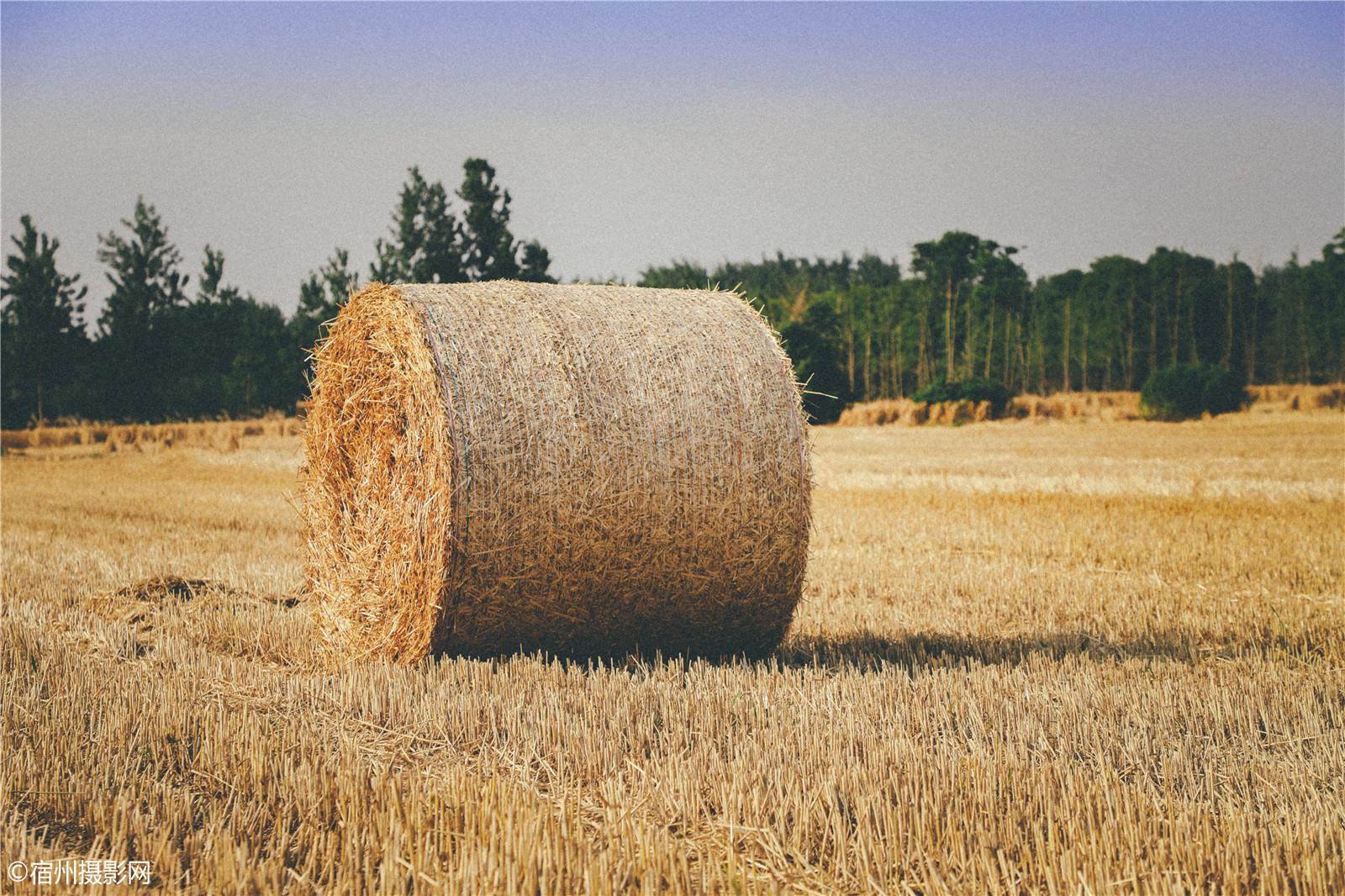宿州淮北交界处田园景观–麦秸卷