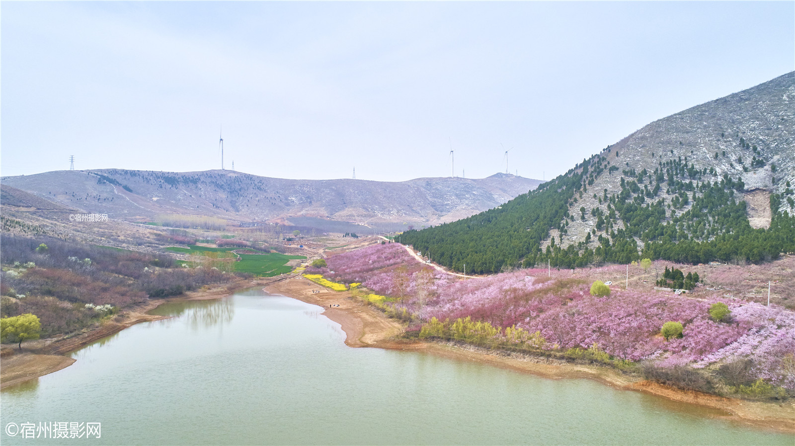 清水梨园位于符离清水村,每年到了春天,清水梨园成了市区近处不可错过