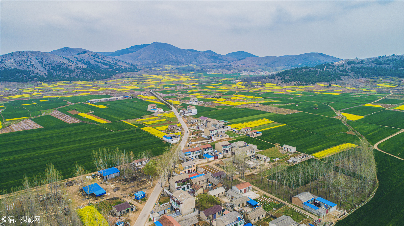 安徽宿州:庄里的春天,皖北小江南—-航拍萧县庄里乡倒流河之春