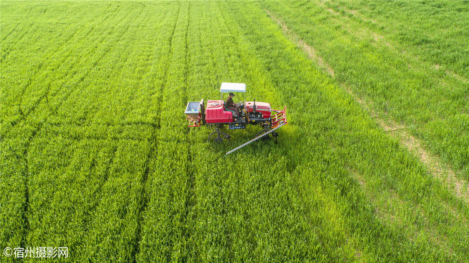 宿州春季小麦打农药现代农机显身手