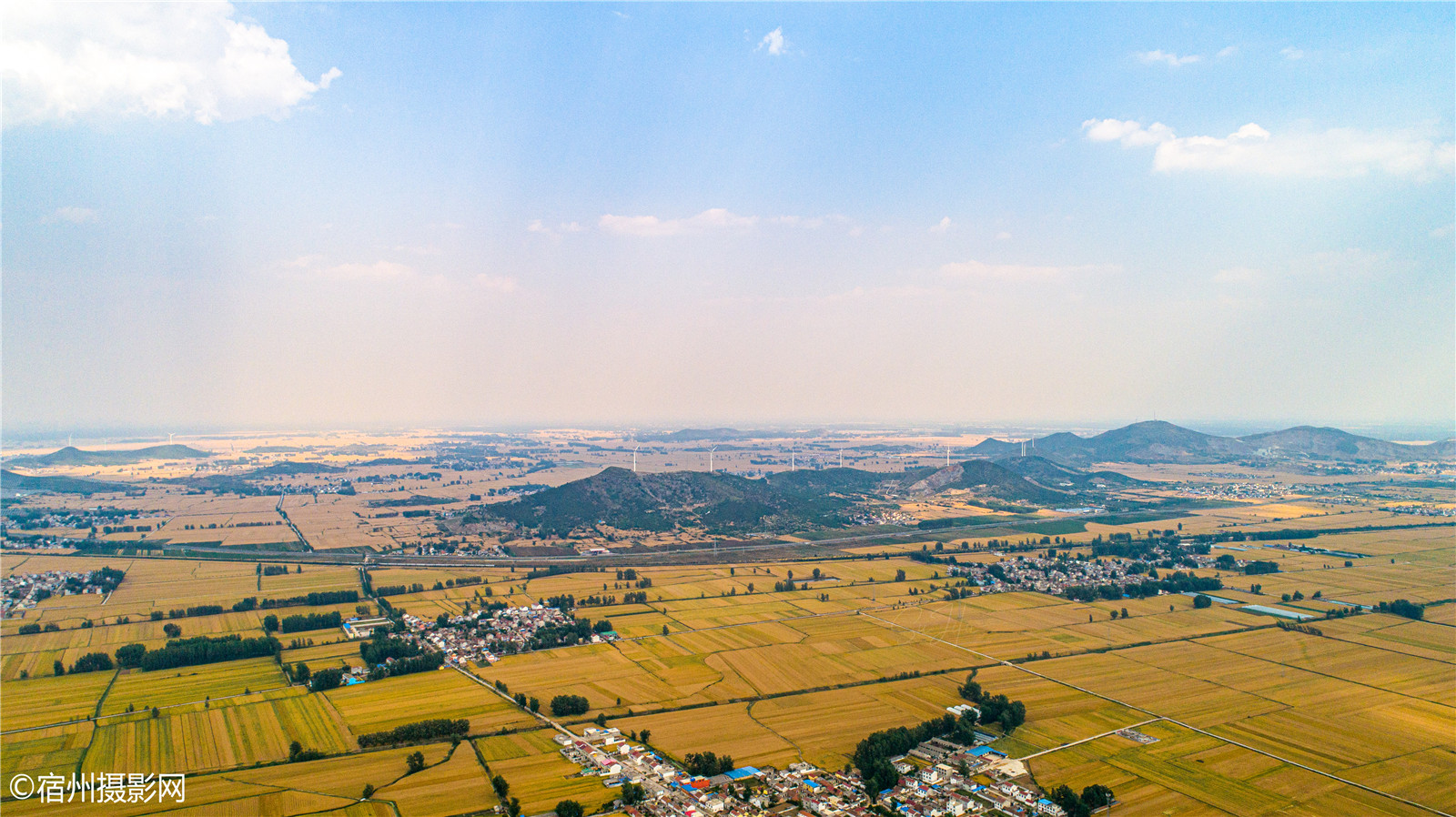 安徽宿州老家的麦子熟了航拍记录这金色的田野