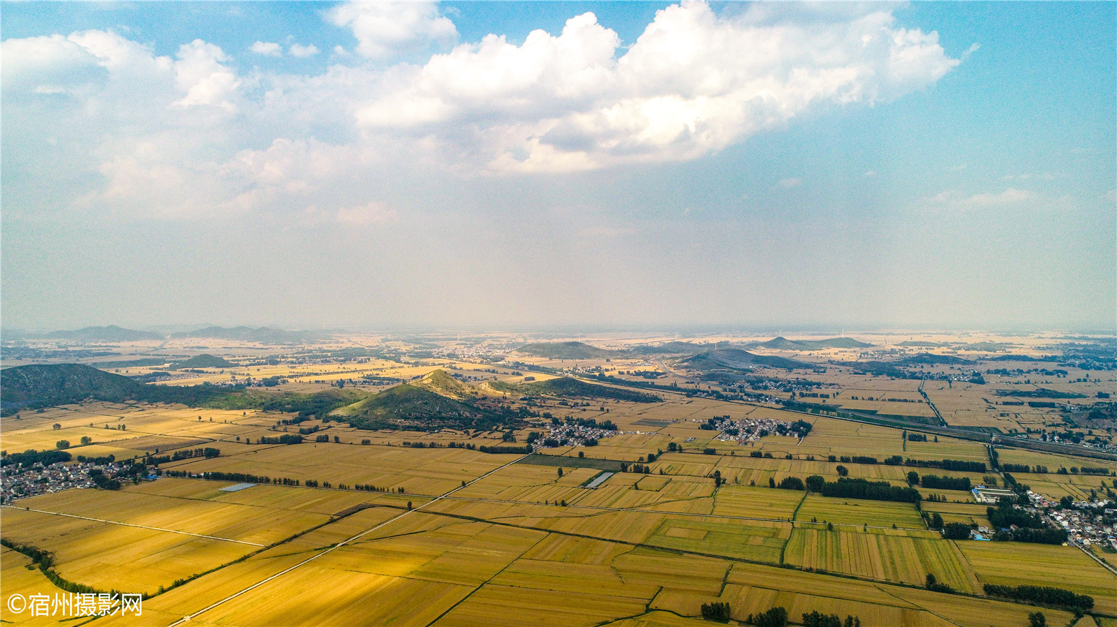 安徽宿州:老家的麦子熟了,航拍记录这金色的田野