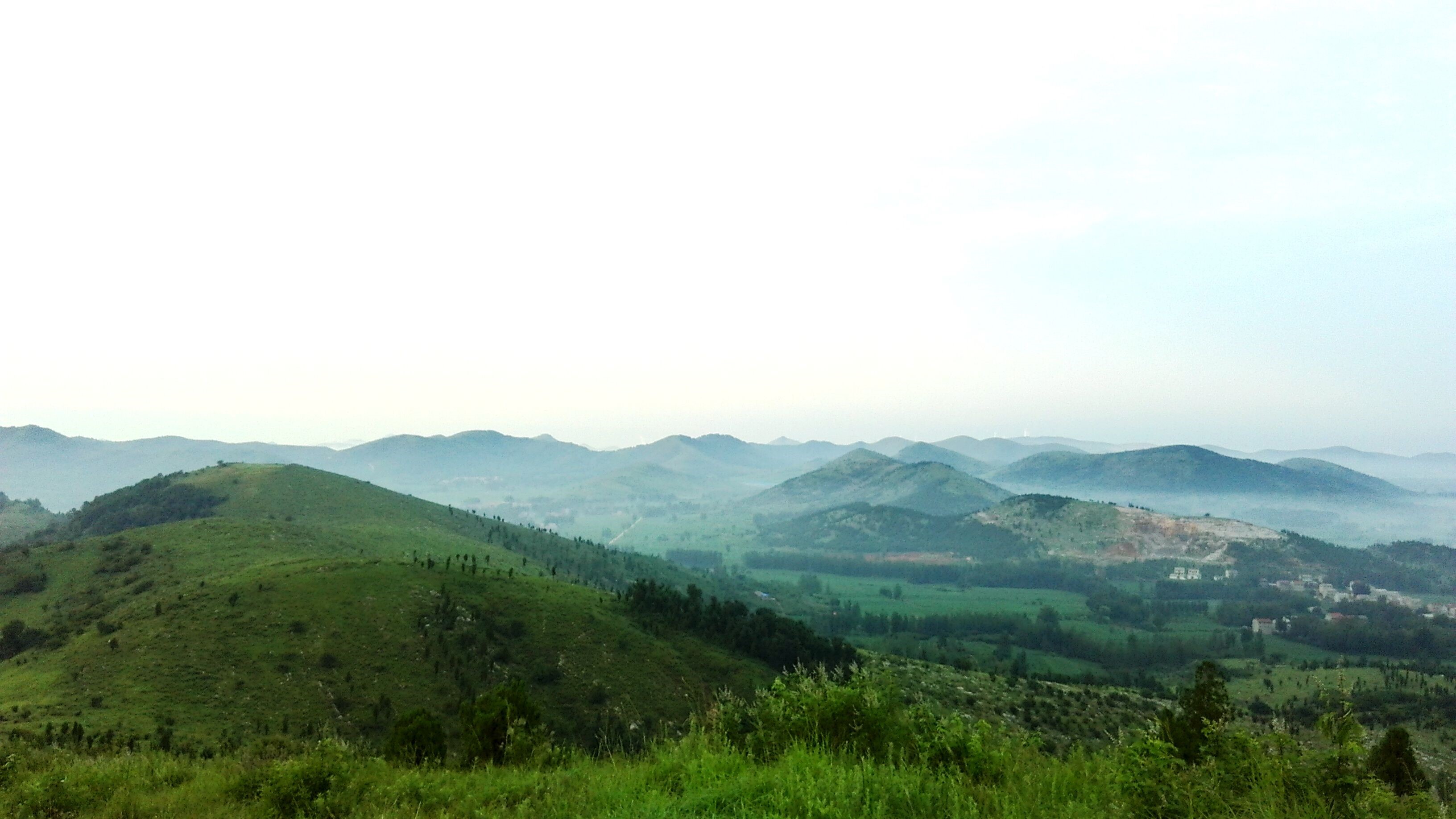 盛夏采菇杂感—-作者:萧县庄里镇中心学校 李孝军 _ 宿州摄影网